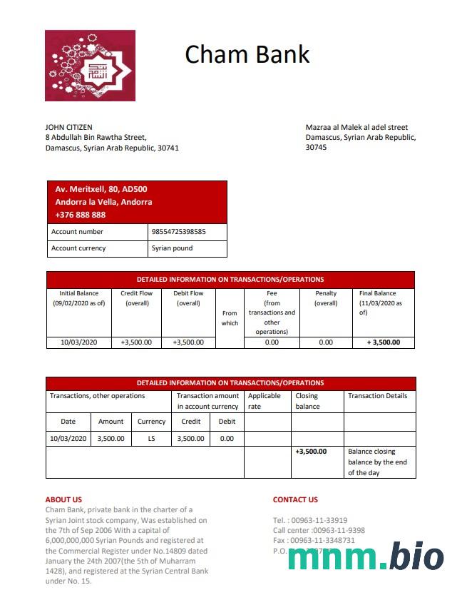 Syria Cham Bank szablon w formacie excel pdf